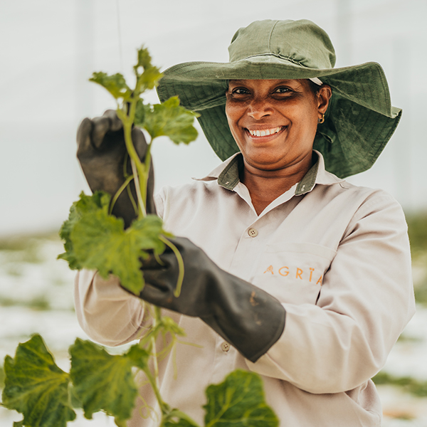 Agrïa: Bel Ombre’s sustainable shift