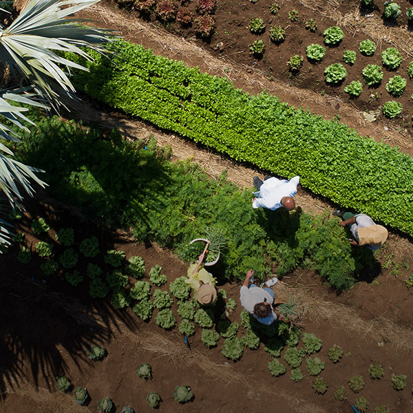 Now for Tomorrow: Sustainable tourism